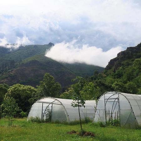 Casa Rural Chao De Castro Riodeporcos Bagian luar foto